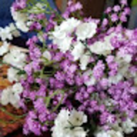 Meet your Posher, Sheryl - Picture 1 of 1